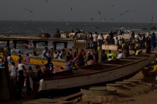 Gambia Fishmarket